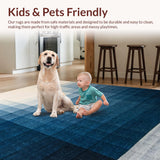 Ultra Soft Area Rug, Non Slip, Stain Resistant, Washable Area Rugs for Living Room, Bedroom, Abstract Gradient Striped Rug(Blue)