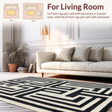 Ultra Soft Area Rug, Non Slip, Stain Resistant, Washable Area Rugs for Living Room, Bedroom, Contemporary Black and Ivory Fusion(Black)