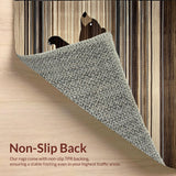 Ultra Soft Area Rug, Non Slip, Stain Resistant, Washable Area Rugs for Living Room, Bedroom, Luxurious Silky Textured Motif(Brown)