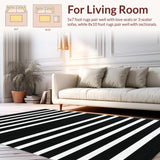 Ultra Soft Area Rug, Non Slip, Stain Resistant, Washable Area Rugs for Living Room, Bedroom, Modern Monochrome Linear Rug Washable Reversible Contemporary Decor(Black)