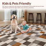 Ultra Soft Area Rug, Non Slip, Stain Resistant, Washable Area Rugs for Living Room, Bedroom, Sophisticated Abstract Pattern Fusion(Gray)