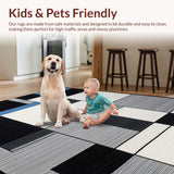 Ultra Soft Area Rug, Non Slip, Stain Resistant, Washable Area Rugs for Living Room, Bedroom, Sleek Contemporary Geometric Aesthetic(Black)