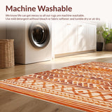 Ultra Soft Area Rug, Non Slip, Stain Resistant, Washable Area Rugs for Living Room, Bedroom, Trendy Soft Shag Surface(Brown)