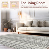 Ultra Soft Area Rug, Non Slip, Stain Resistant, Washable Area Rugs for Living Room, Bedroom, Black and White Striped Carpet, Geometric Pattern(Gray)