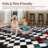 Ultra Soft Area Rug, Non Slip, Stain Resistant, Washable Area Rugs for Living Room, Bedroom, Vibrant Modern Geometric Outdoor Piece(Black)