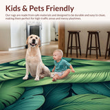 Contemporary Botanical Artful Display(Green)