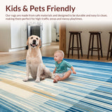 Ultra Soft Area Rug, Non Slip, Stain Resistant, Washable Area Rugs for Living Room, Bedroom, Waterproof Patio Living Area(Blue)