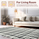 Ultra Soft Area Rug, Non Slip, Stain Resistant, Washable Area Rugs for Living Room, Bedroom, Monochrome Rhythm Rug Featuring Graphic Stripe Motif and Sleek Lines(Gray)