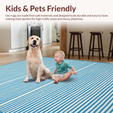 Ultra Soft Area Rug, Non Slip, Stain Resistant, Washable Area Rugs for Living Room, Bedroom, Elegant Neutral Stripe Fusion(Blue)
