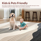 Ultra Soft Area Rug, Non Slip, Stain Resistant, Washable Area Rugs for Living Room, Bedroom, Elegant Neutral Tones Geometric Motif(Beige)