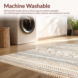 Ultra Soft Area Rug, Non Slip, Stain Resistant, Washable Area Rugs for Living Room, Bedroom, Rustic Neutral Shag Pattern(Beige)