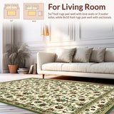 Transitional Earthy Vibrant Composition(Beige)