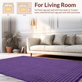 Ultra Soft Area Rug, Non Slip, Stain Resistant, Washable Area Rugs for Living Room, Bedroom, Chic Textured Purple Elegance(Purple)