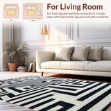 Ultra Soft Area Rug, Non Slip, Stain Resistant, Washable Area Rugs for Living Room, Bedroom, Optical Illusion Rug Stripe Maze Woven Floor Art Carpet(Black)