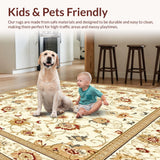 Elegant Beige Area(Beige)