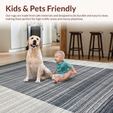 Ultra Soft Area Rug, Non Slip, Stain Resistant, Washable Area Rugs for Living Room, Bedroom, Monochrome Motion: Striped Woven Floor Rug, Entryway Style(Gray)