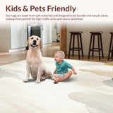 Ultra Soft Area Rug, Non Slip, Stain Resistant, Washable Area Rugs for Living Room, Bedroom, Abstract Cloudscape Area with Ethereal Swirls and Linear Motif Details(Beige)