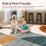 Ultra Soft Area Rug, Non Slip, Stain Resistant, Washable Area Rugs for Living Room, Bedroom, Modern Neutral Abstract Living Room Stain-Resistant Rug(Gray)