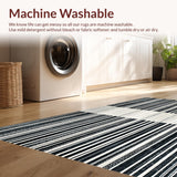 Ultra Soft Area Rug, Non Slip, Stain Resistant, Washable Area Rugs for Living Room, Bedroom, Graphic Stripe Accent Rug with Dynamic Linework and Contemporary Contrast(Black)