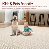 Ultra Soft Area Rug, Non Slip, Stain Resistant, Washable Area Rugs for Living Room, Bedroom, OEKO TEX Certified Patio Area with Woven Texture Aesthetic(Beige)
