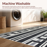 Ultra Soft Area Rug, Non Slip, Stain Resistant, Washable Area Rugs for Living Room, Bedroom, Vibrant Abstract Patterned Appeal(Black)