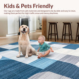 Ultra Soft Area Rug, Non Slip, Stain Resistant, Washable Area Rugs for Living Room, Bedroom, Chic Abstract Soft Surface Design(Blue)