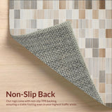 Ultra Soft Area Rug, Non Slip, Stain Resistant, Washable Area Rugs for Living Room, Bedroom, Shower Large Non Slip Bath Mat(Beige)