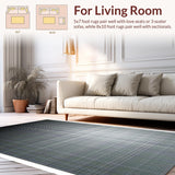 Ultra Soft Area Rug, Non Slip, Stain Resistant, Washable Area Rugs for Living Room, Bedroom, Urban Black Linear Style(Gray)