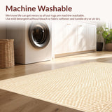 Ultra Soft Area Rug, Non Slip, Stain Resistant, Washable Area Rugs for Living Room, Bedroom, Elegant Neutral Tone Farmhouse Featuring Woven Diamond Motifs(Beige)
