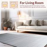 Ultra Soft Area Rug, Non Slip, Stain Resistant, Washable Area Rugs for Living Room, Bedroom, Cozy Plush Shaggy Elegance(Gray)