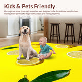 Ultra Soft Area Rug, Non Slip, Stain Resistant, Washable Area Rugs for Living Room, Bedroom, Charming Citrus Aesthetic Delight(Yellow)