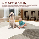 Ultra Soft Area Rug, Non Slip, Stain Resistant, Washable Area Rugs for Living Room, Bedroom, Neutral Echoes Abstract Indoor(Beige)