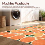 Ultra Soft Area Rug, Non Slip, Stain Resistant, Washable Area Rugs for Living Room, Bedroom, Stylish Tropical Peach Color Palette(Orange)