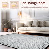 Ultra Soft Area Rug, Non Slip, Stain Resistant, Washable Area Rugs for Living Room, Bedroom, Sleek Silver Geometric Motif(Gray)