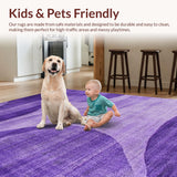 Ultra Soft Area Rug, Non Slip, Stain Resistant, Washable Area Rugs for Living Room, Bedroom, Trendy Luxe Lavender Ensemble(Purple)