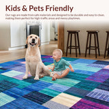 Ultra Soft Area Rug, Non Slip, Stain Resistant, Washable Area Rugs for Living Room, Bedroom, Colorful Burst(Blue)