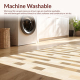Ultra Soft Area Rug, Non Slip, Stain Resistant, Washable Area Rugs for Living Room, Bedroom, Inviting Plush Checkered Decor Style(Beige)