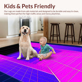 Ultra Soft Area Rug, Non Slip, Stain Resistant, Washable Area Rugs for Living Room, Bedroom, Stylized Retro Gradient Visuals(Pink)