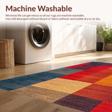 Ultra Soft Area Rug, Non Slip, Stain Resistant, Washable Area Rugs for Living Room, Bedroom, Washable Contemporary Bedroom Rug for Minimal Living(Red)