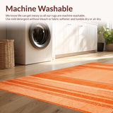 Ultra Soft Area Rug, Non Slip, Stain Resistant, Washable Area Rugs for Living Room, Bedroom, Warm Earthy Terracotta Shag(Orange)