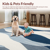 Ultra Soft Area Rug, Non Slip, Stain Resistant, Washable Area Rugs for Living Room, Bedroom, Elegant Area Rug Coastal Breeze Design(Blue)
