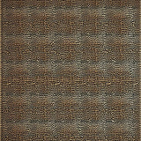 Ultra Soft Area Rug, Non Slip, Stain Resistant, Washable Area Rugs for Living Room, Bedroom, Fierce Animal Print Aesthetic(Brown)