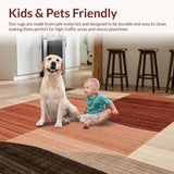 Ultra Soft Area Rug, Non Slip, Stain Resistant, Washable Area Rugs for Living Room, Bedroom, Moody Earthy Tone Area with Unique Rust Brown(Brown)