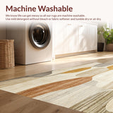 Ultra Soft Area Rug, Non Slip, Stain Resistant, Washable Area Rugs for Living Room, Bedroom, Textured Tufted Boho Chic Area with Neutral Earth Tones(Beige)