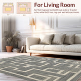 Ultra Soft Area Rug, Non Slip, Stain Resistant, Washable Area Rugs for Living Room, Bedroom, Minimalist Monochrome Outdoor Elegance(Gray)