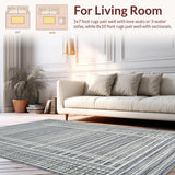 Ultra Soft Area Rug, Non Slip, Stain Resistant, Washable Area Rugs for Living Room, Bedroom, Rustic Warmth Abstract Weave(Gray)