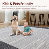 Ultra Soft Area Rug, Non Slip, Stain Resistant, Washable Area Rugs for Living Room, Bedroom, Vibrant Abstract Outdoor Visuals(Gray)