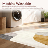 Ultra Soft Area Rug, Non Slip, Stain Resistant, Washable Area Rugs for Living Room, Bedroom, Luxurious Soft Sand Textures(Beige)