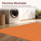 Ultra Soft Area Rug, Non Slip, Stain Resistant, Washable Area Rugs for Living Room, Bedroom, Sophisticated Neutral Shag Style(Orange)