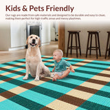 Ultra Soft Area Rug, Non Slip, Stain Resistant, Washable Area Rugs for Living Room, Bedroom, Modern Checked Living Room Carpet in Turquoise and Brown(Beige)